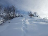 tratto finale verso la cima