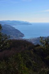 Veduta verso Levante salendo al monte Caravaggio