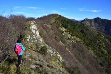 Sulla. cresta verso il monte Borgo con a destra il monte Manico del Lume