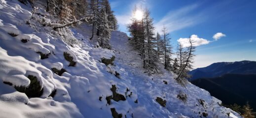 ambientino di salita, a quota 2020 m