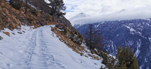 salendo lungo la strada militare del versante SE verso la Melmise