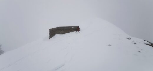 la vetta della Punta Melmise
