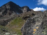 Segnaletica sempre presente