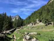 Ourty, quota 1526 mt. Da qui proseguire a sinistra sul 4E. Tralasciare a destra il 4F per il Vercoche