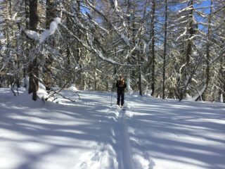 bosco delle Navette