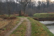Costeggiata per un breve tratto, si lascia la Roggia Castellana e si entra nel bosco.