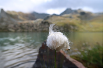 Coiffure interessante