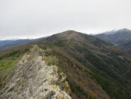 Il crestone di salita da Rocca Liverna'.