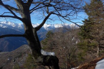 La val Chisone