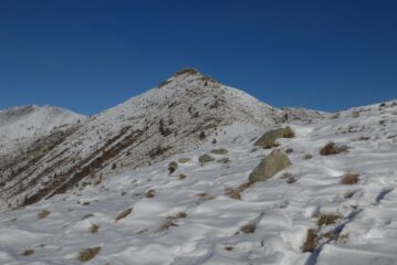 Ecco la Merla. ma per oggi ci fermiamo prima