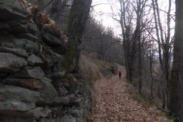 Sul sentiero del bosco per Balma Boves