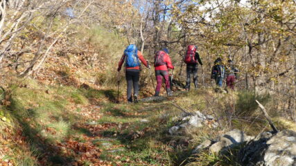 salendo nella parte iniziale del bosco sopra Realdo