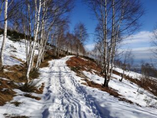 La sterrata salendo nella prima parte.