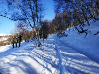 Neve a quota 1000.