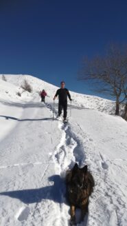discesa alta su strada terreno aperto