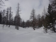 Tutto vergine
