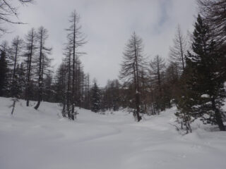 Tutto vergine