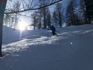 Nel bosco bella neve