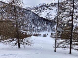 Il bel tratto centrale nel bosco