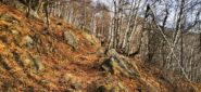 il primo tratto nel bosco sopra San Giacomo di Andrate