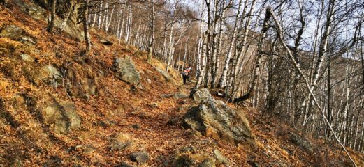 il primo tratto nel bosco sopra San Giacomo di Andrate