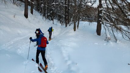 Tanta neve