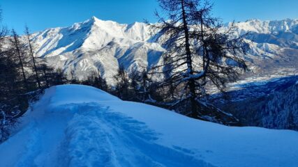 Vista su Rocciamelone