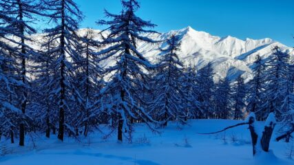 Magia invernale