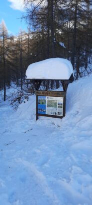 Molta neve!