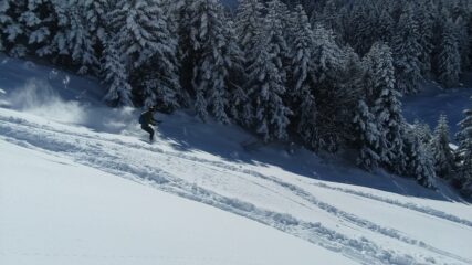 nane ha dato fuoco alle polveri 