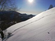 Solo la traccia della volpe
