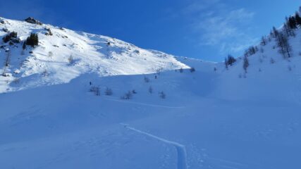 In vista della colletta