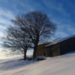 Ritorno al tramonto.