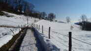Cascine Calvi.