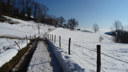 Cascine Calvi.