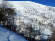 scarabocchi