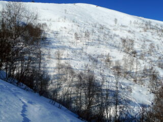 scarabocchi
