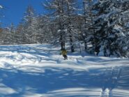 discesa veloce su bella neve