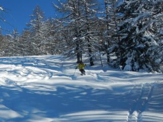 discesa veloce su bella neve