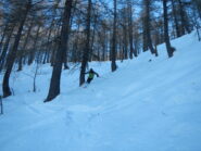 bella neve nel bosco