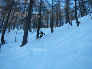 bella neve nel bosco