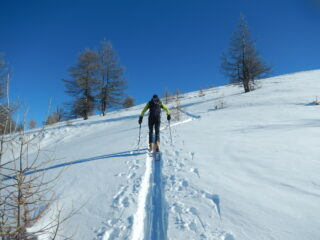 parte alta del percorso