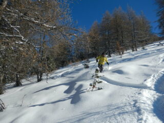 discesa su bella neve