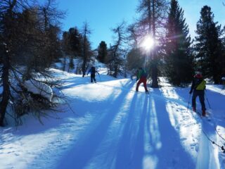 Verso la parte finale, sopra la strada del colle