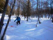 Finale nel bosco fitto