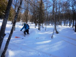 Finale nel bosco fitto