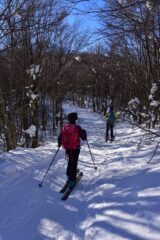 Salendo verso il Maggiorasca dalla sella Bue-Maggiorasca