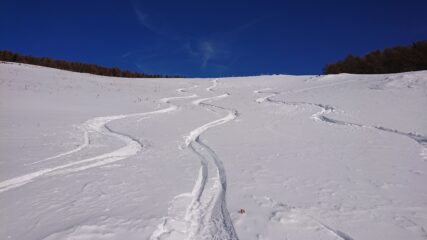 Qualche bella curva nei prati in basso