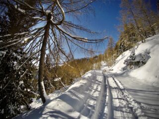 DCIM100GOPROG0170854.