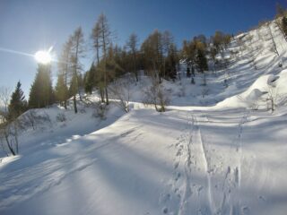 DCIM100GOPROG0180870.